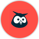 Hootsuite Logo