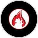 Nashville Hot Chicken