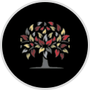Healthcare Services group