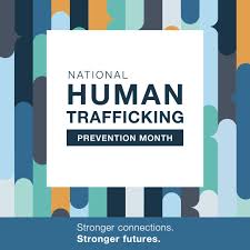 National Human Trafficking Hotline logo