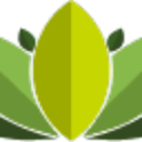 iMatter Foundation SA