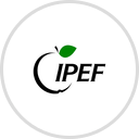 IPEF