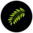 Island Weight Clinic