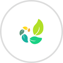 PlantID - Plant Identifier