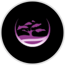 Jacwest Credit Card Processing