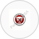 Jaguar Tires