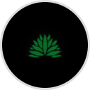 Jimador Mexican Grill