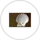 Johnson Entertainment