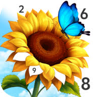 Jolly Color for Seniors