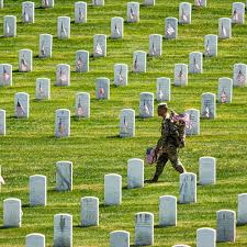 DAVE WEB DANIELLE DEMPSEY