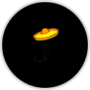 Juan's Mexican Restaurant