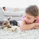 K9 Carpet Cleaning