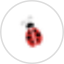 Ladybug's Garden Center