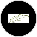 Laguna Woods Village