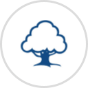 LAMS (Learning Activity Management System)