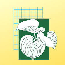 Landscape Images Ltd