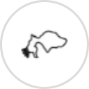 Lange Veterinary Sherman