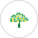 Lemon Tree Consulting logo