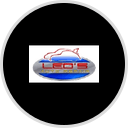 Leo's Auto Repair