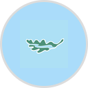 Terrabella