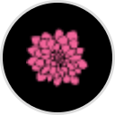 Living Well Spending Less logo