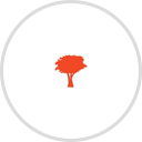 L'olivier Assurance auto insurance