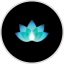 Lotus Counseling Center