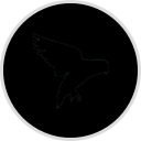 LOVEBIRDS Brooklyn NY