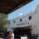 Magnolia logo