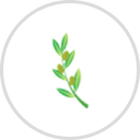 Meadowlawn Garden Center