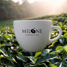 Millone Coffee