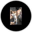 Milo Foundation Newsletter