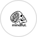 Mindful Family Nordlysvarsel SMS service