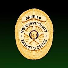 Miss Delhi Escort logo