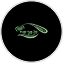 Morrison Dental Group