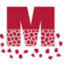 mosaicsrl.com Logo