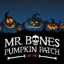 Mr. Bones Pumpkin Patch