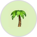 MyTiki