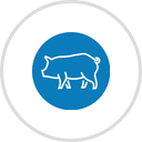 Napa Flats Wood-Fired Kitchen