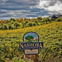 Nashoba Valley Winery