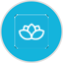 Professional Hypnotherapy Certification