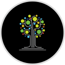 New American Pathways