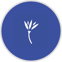 New Beginnings Economic Development