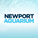 Silver Annual Membership