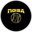 Noblesville Softball logo