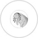 North Beach Bar and Grill