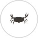 Northwest Fresh Seafood