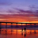 Ocean Beach San Diego