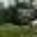 O'Malley's North Fork