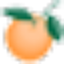 Orange County Florida logo